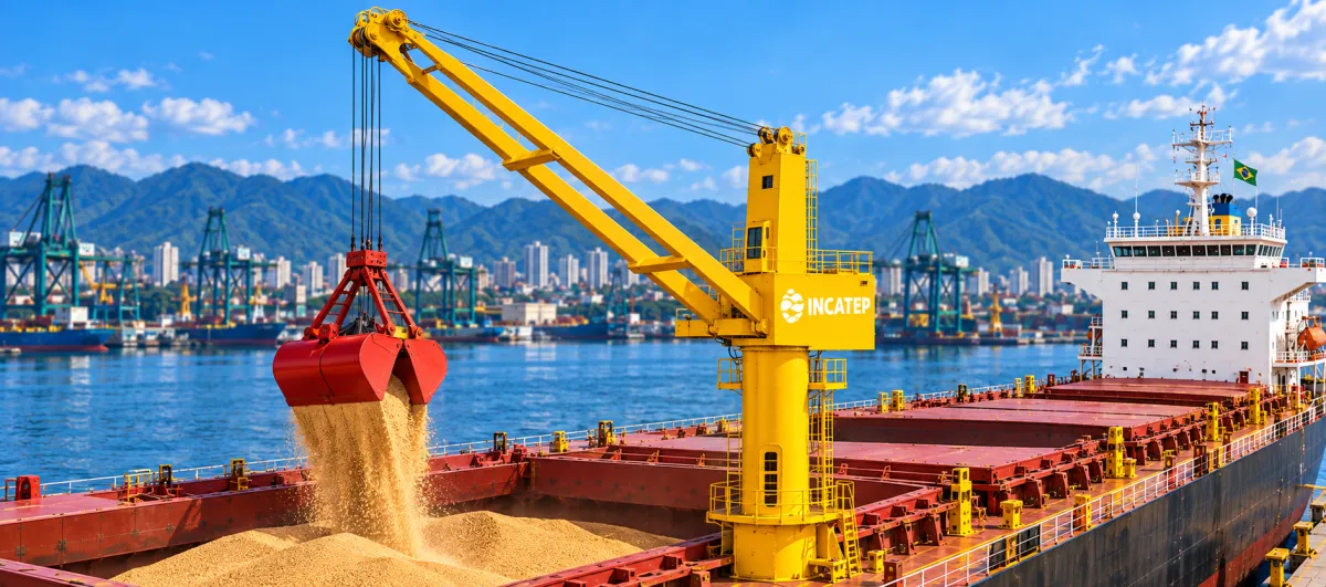 Guindaste de Bordo / Jib Board Crane Operator